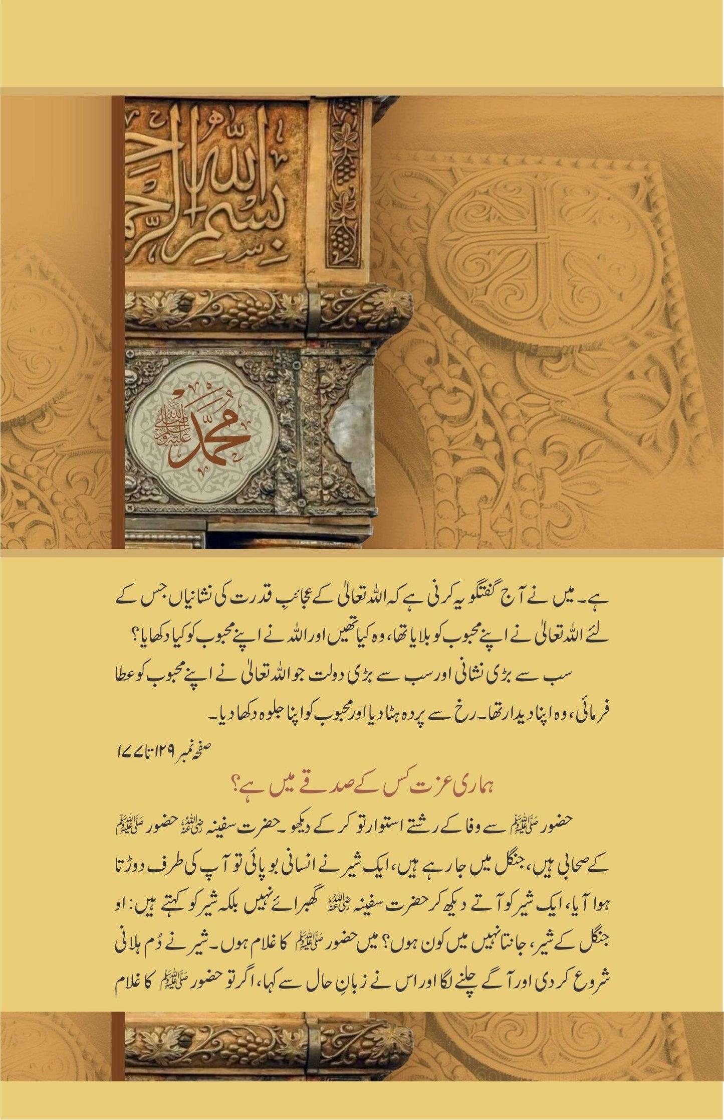 Khutbat E Seerat Un Nabi (SAW) By Allama Peer Muhammad Saqib Mustafia خطباتِ سیرت النبیﷺ از مولانا رضا ثاقب مصطفائی