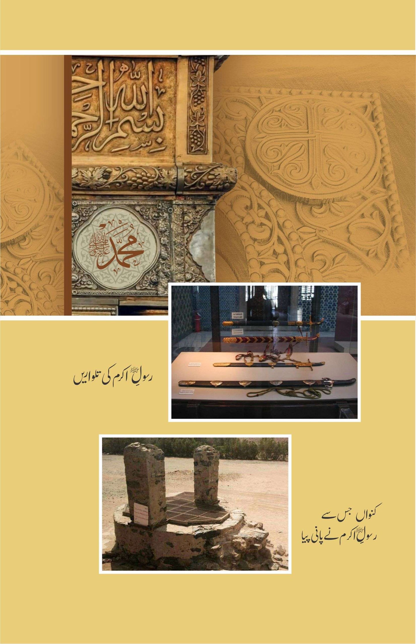 Khutbat E Seerat Un Nabi (SAW) By Allama Peer Muhammad Saqib Mustafia خطباتِ سیرت النبیﷺ از مولانا رضا ثاقب مصطفائی