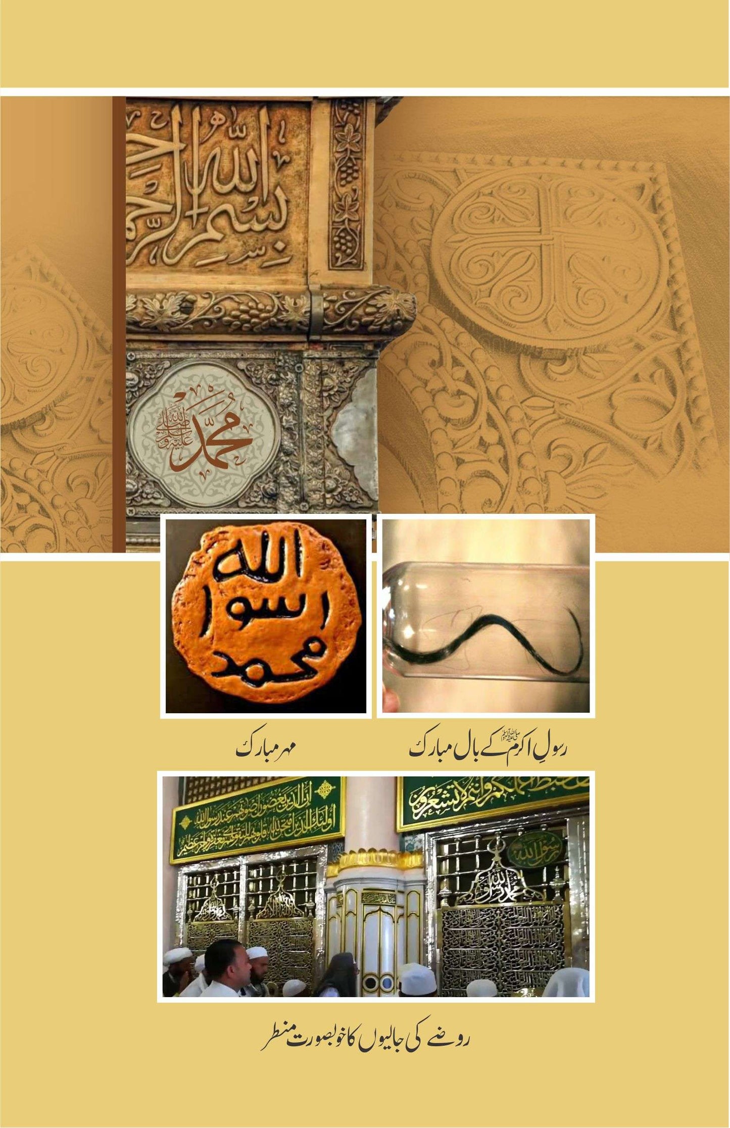Khutbat E Seerat Un Nabi (SAW) By Allama Peer Muhammad Saqib Mustafia خطباتِ سیرت النبیﷺ از مولانا رضا ثاقب مصطفائی